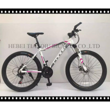 Mountain Bicycle/Cycle/Bike for Sale